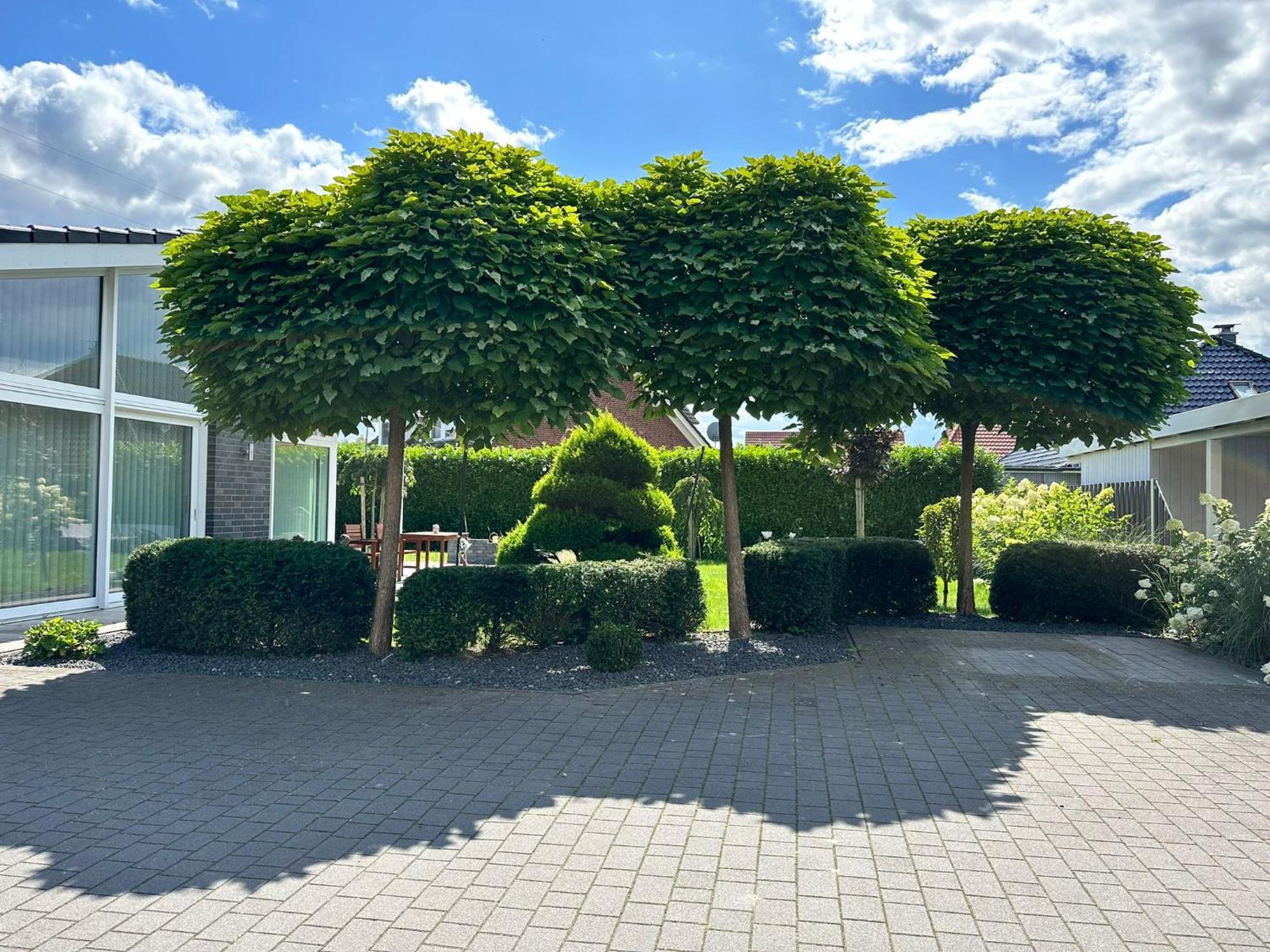 Idylisches Ferienhaus Edewecht ภายนอก รูปภาพ